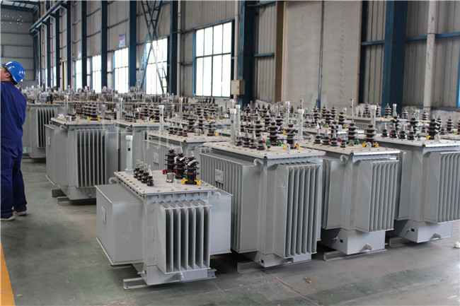 丹巴S22-1000KVA/10KV变压器